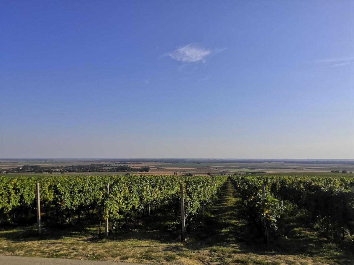 Willa Kuca Za Odmor Kiss-Karanac,Baranja Zewnętrze zdjęcie