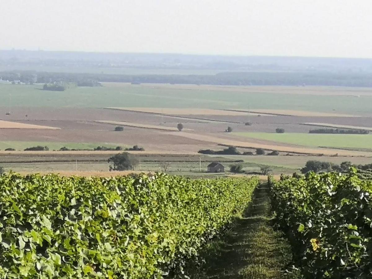 Willa Kuca Za Odmor Kiss-Karanac,Baranja Zewnętrze zdjęcie