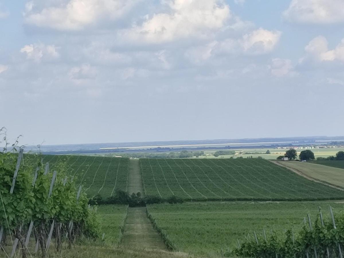 Willa Kuca Za Odmor Kiss-Karanac,Baranja Zewnętrze zdjęcie