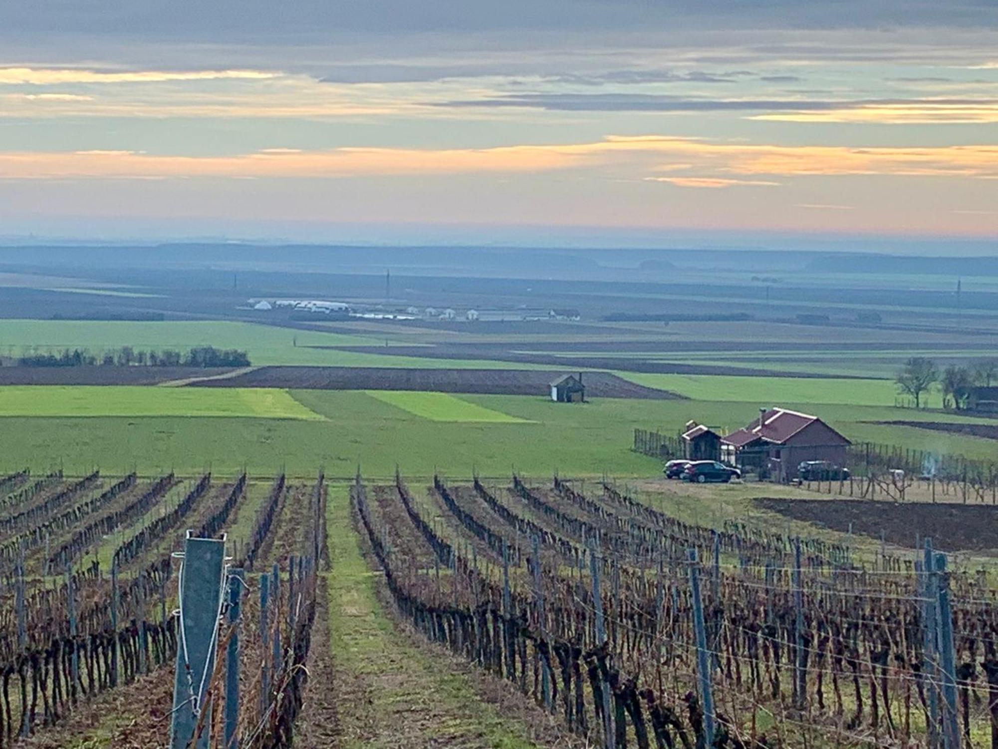 Willa Kuca Za Odmor Kiss-Karanac,Baranja Zewnętrze zdjęcie